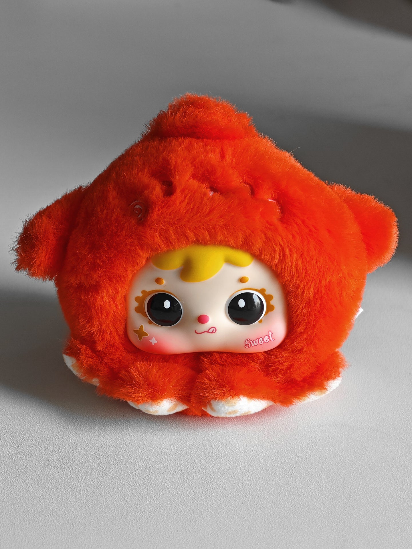 三小毛海洋総働員です