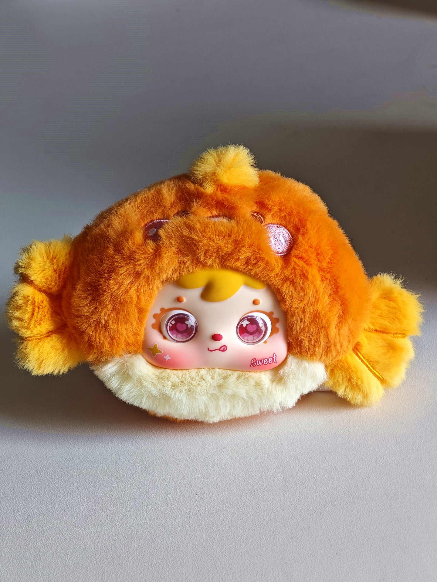 三小毛海洋総働員です