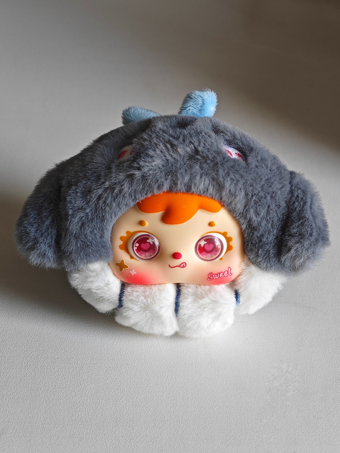 三小毛海洋総働員です