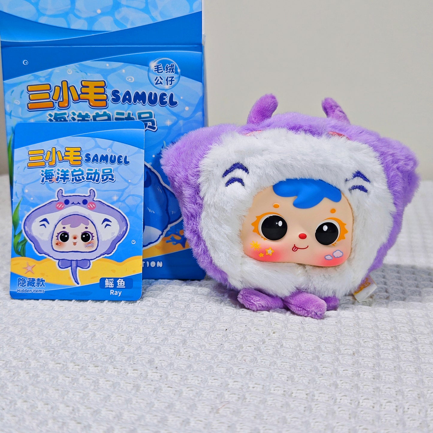 三小毛海洋総働員です